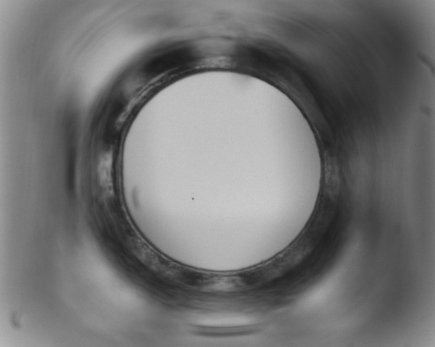 X0000103481150200809261922