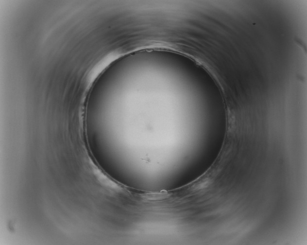 X0000103481151200809261922