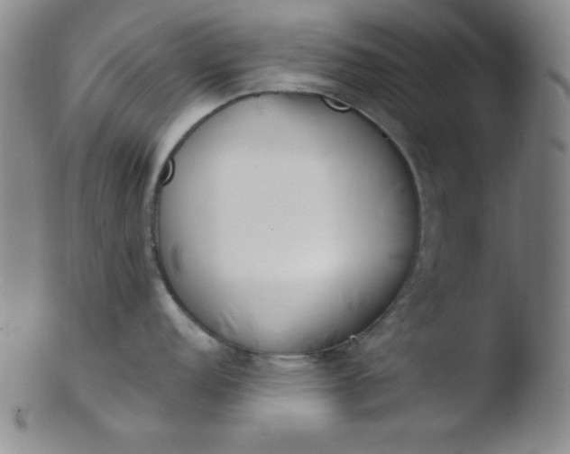 X0000103481152200809261922
