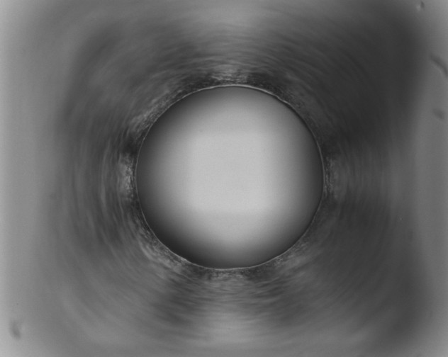 X0000103481154200809261921