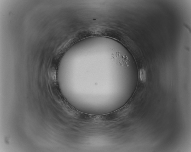 X0000103481155200809261921