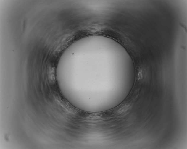 X0000103481156200809261921