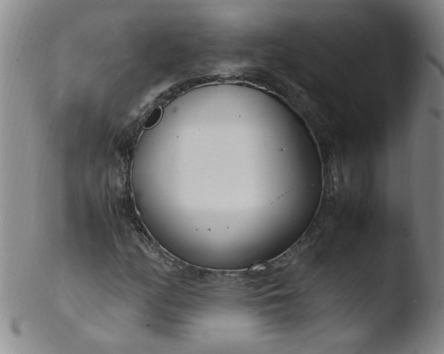 X0000103481158200809261921