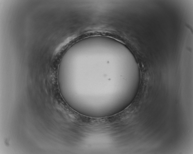 X0000103481159200809261921