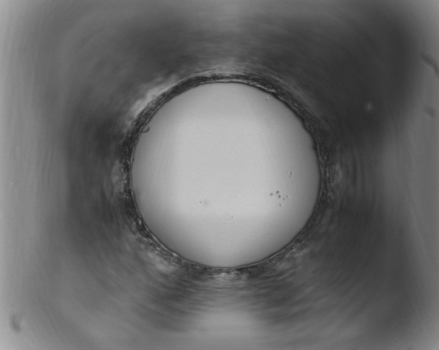 X0000103481160200809261921