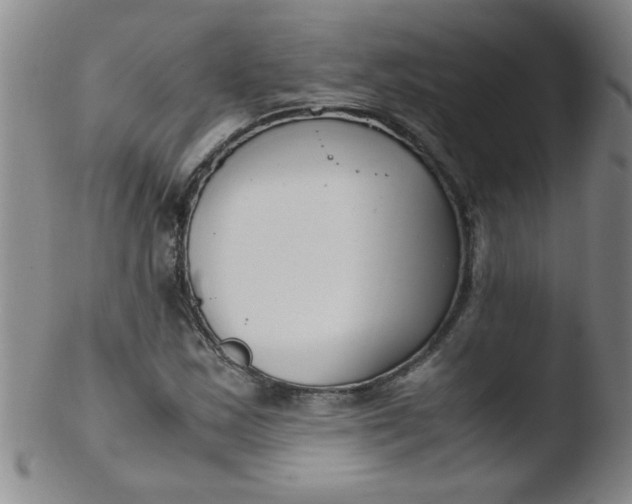 X0000103481163200809261921