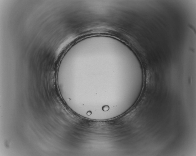 X0000103481164200809261921