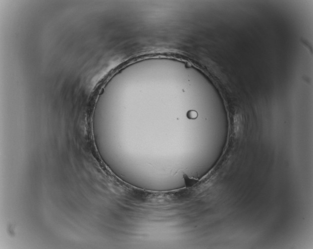 X0000103481165200809261921
