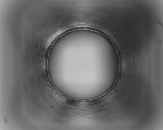 X0000103481167200809261921