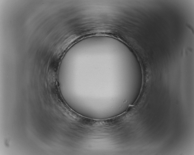X0000103481169200809261921
