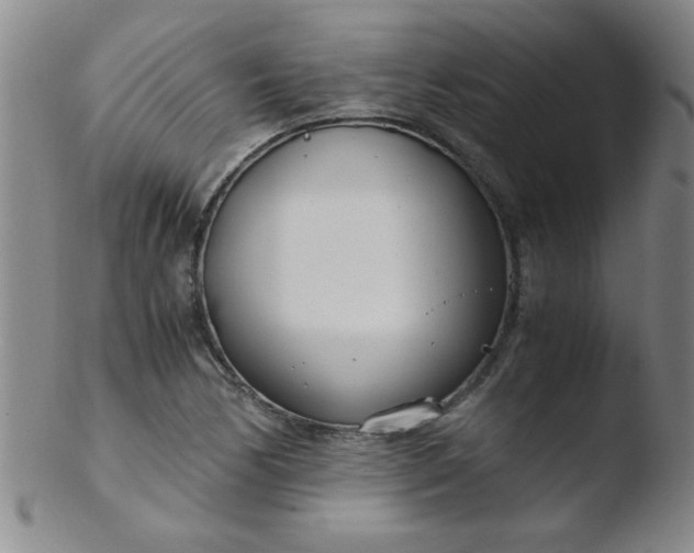 X0000103481170200809261921