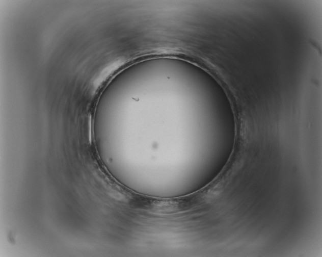 X0000103481171200809261921