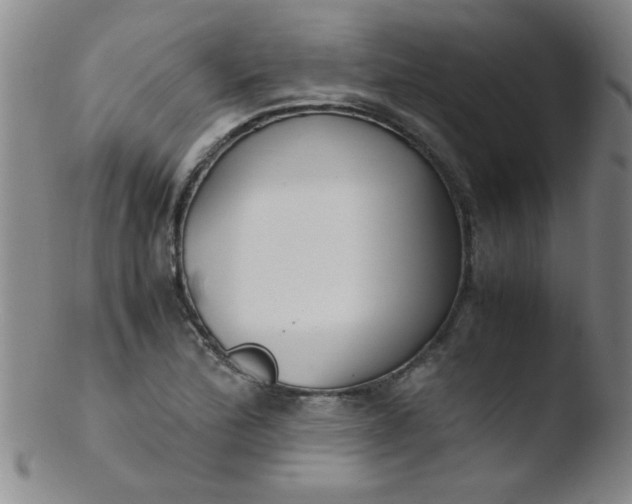 X0000103481172200809261921