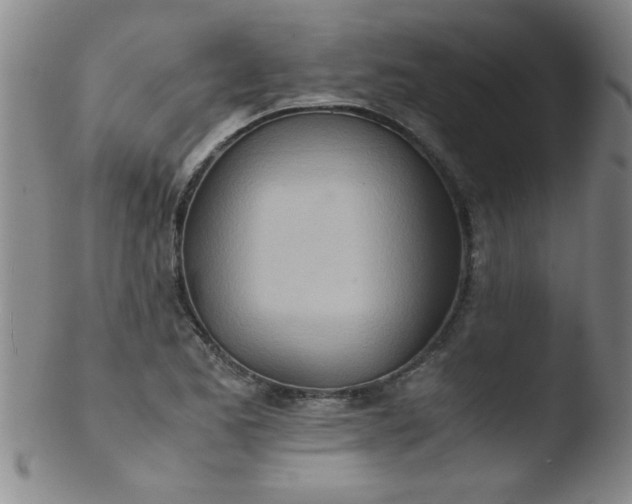 X0000103481173200809261921