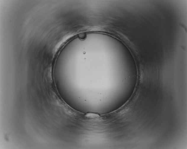 X0000103481174200809261921