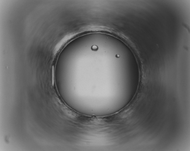 X0000103481175200809261921