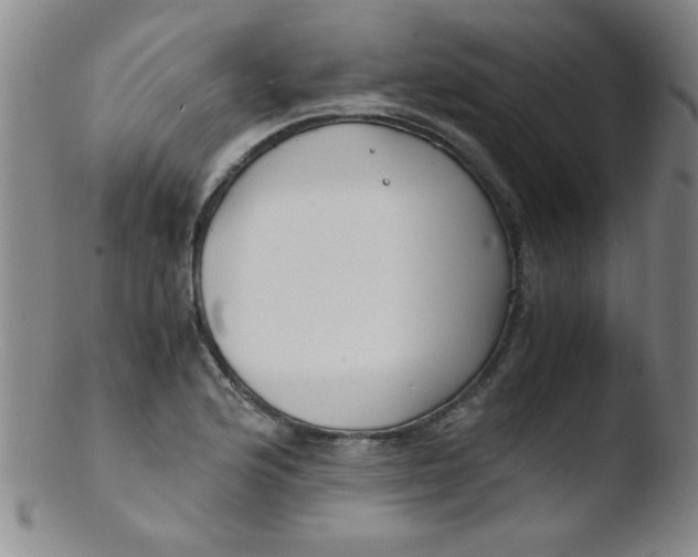 X0000103481176200809261921