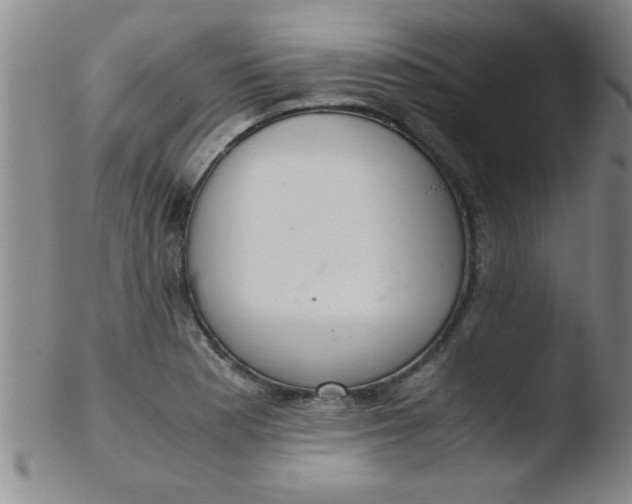 X0000103481177200809261920