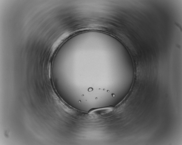 X0000103481180200809261920