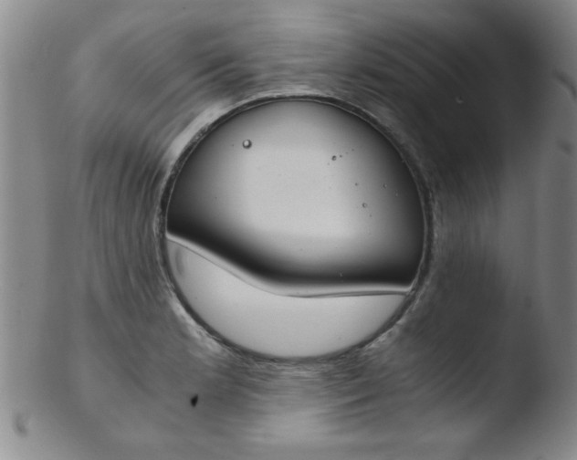 X0000103481181200809261920