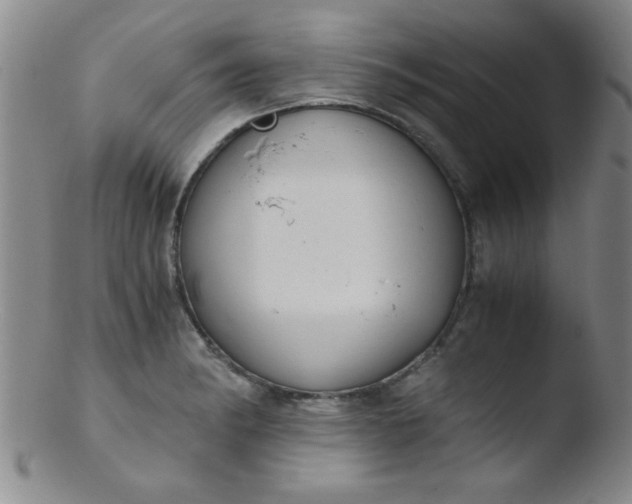 X0000103481182200809261920
