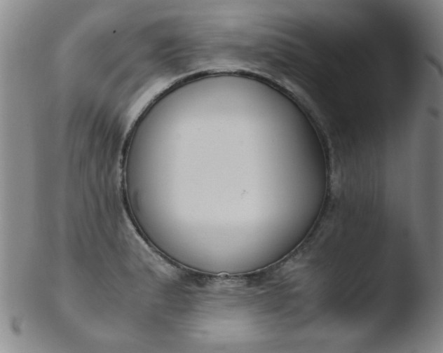 X0000103481183200809261920