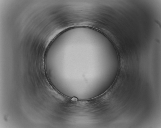 X0000103481184200809261920