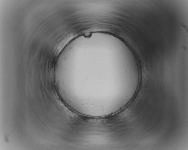X0000103481185200809261920