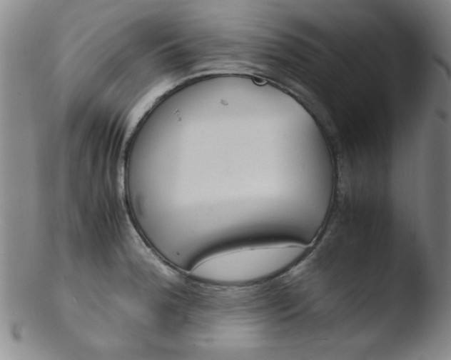 X0000103481188200809261920
