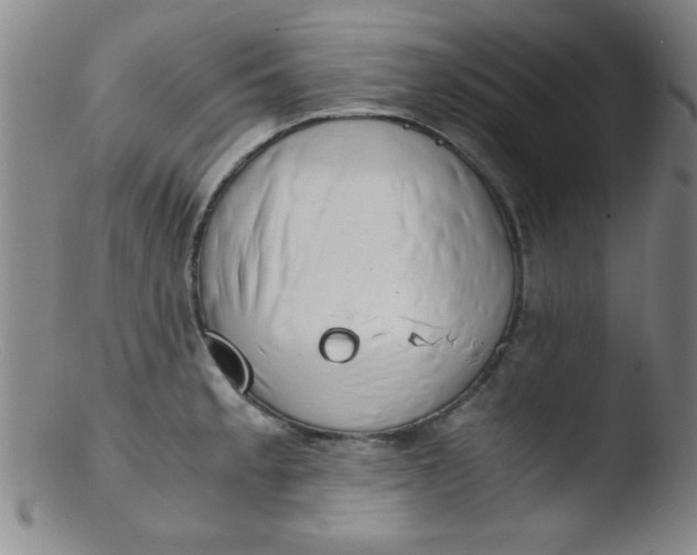 X0000103481189200809261920