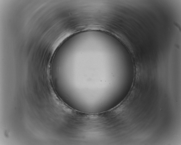 X0000103481190200809261920