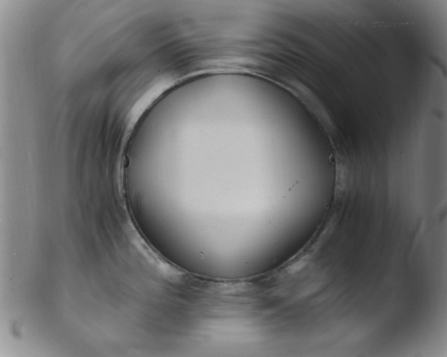 X0000103481196200809261920