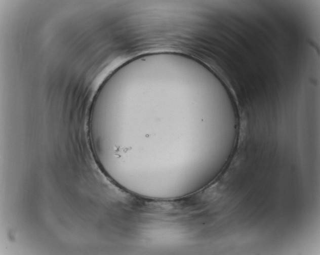 X0000103481197200809261920