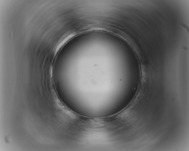 X0000103481198200809261920