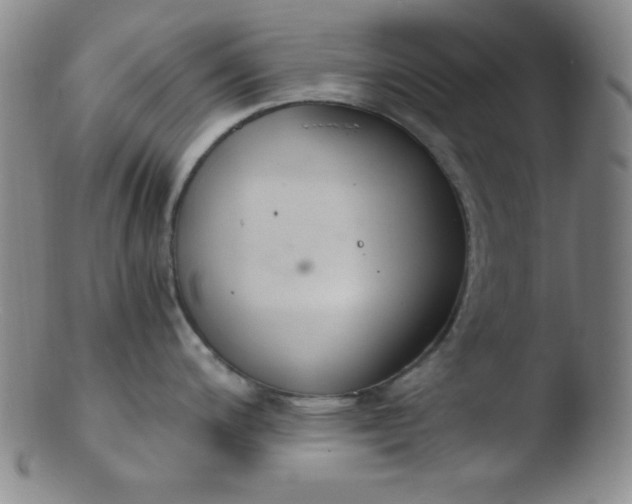 X0000103481200200809261920