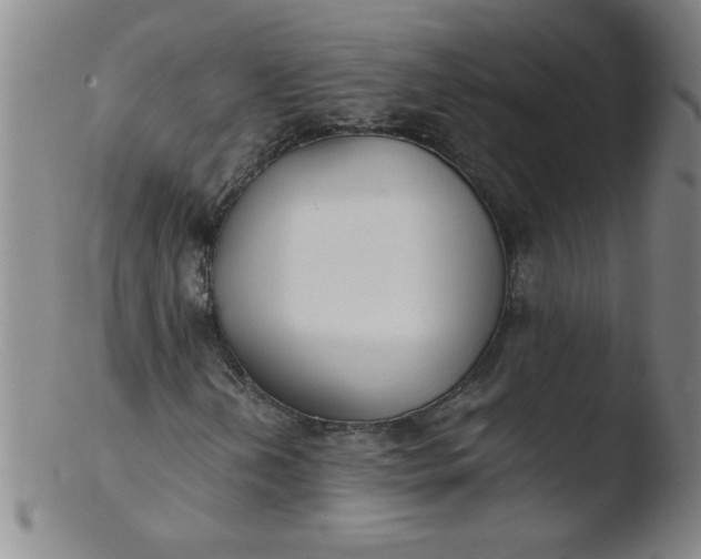 X0000103481202200809261920
