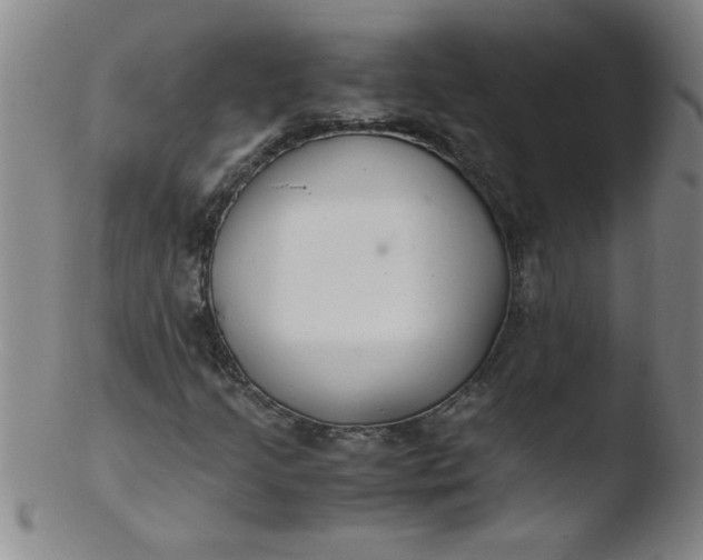 X0000103481205200809261920