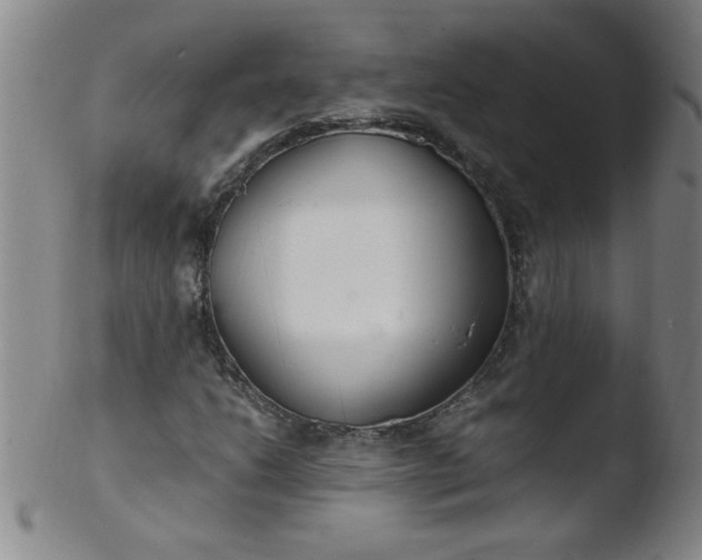 X0000103481206200809261920