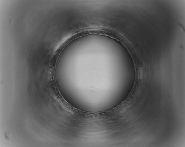 X0000103481208200809261920