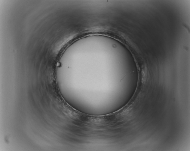 X0000103481213200809261920