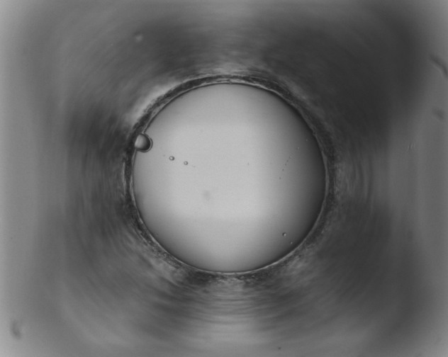X0000103481214200809261920