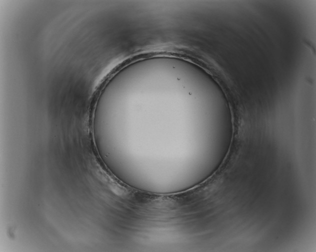 X0000103481216200809261920