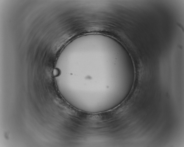 X0000103481217200809261920