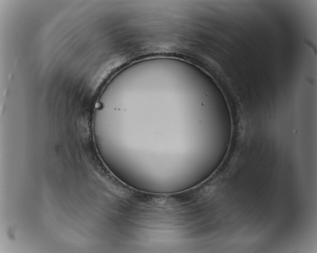 X0000103481218200809261920