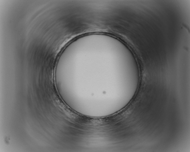 X0000103481220200809261920