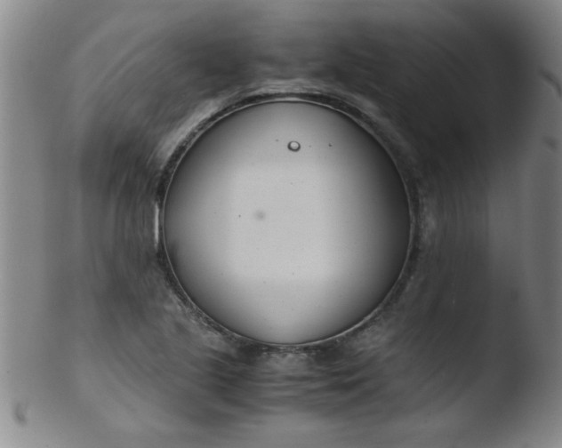 X0000103481221200809261920