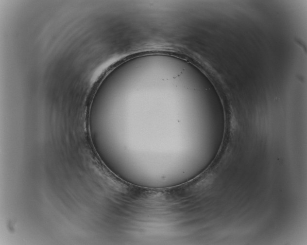 X0000103481222200809261920