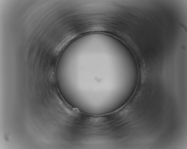 X0000103481225200809261920