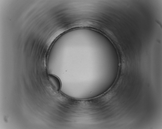 X0000103481226200809261920