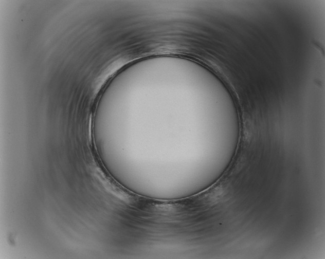 X0000103481227200809261920